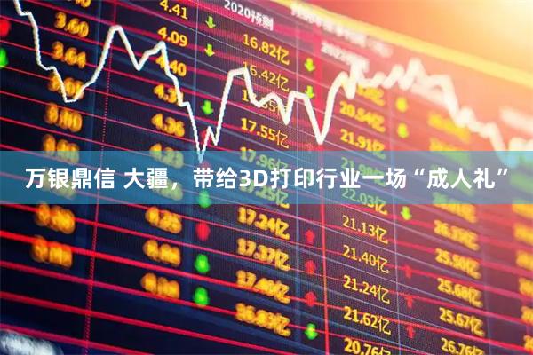 万银鼎信 大疆，带给3D打印行业一场“成人礼”