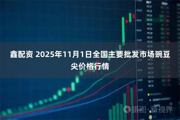 鑫配资 2025年11月1日全国主要批发市场豌豆尖价格行情