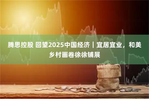 腾思控股 回望2025中国经济｜宜居宜业，和美乡村画卷徐徐铺展