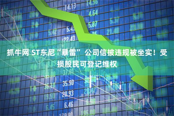 抓牛网 ST东尼“暴雷” 公司信披违规被坐实！受损股民可登记维权