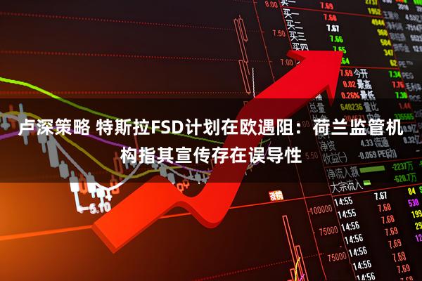 卢深策略 特斯拉FSD计划在欧遇阻：荷兰监管机构指其宣传存在误导性