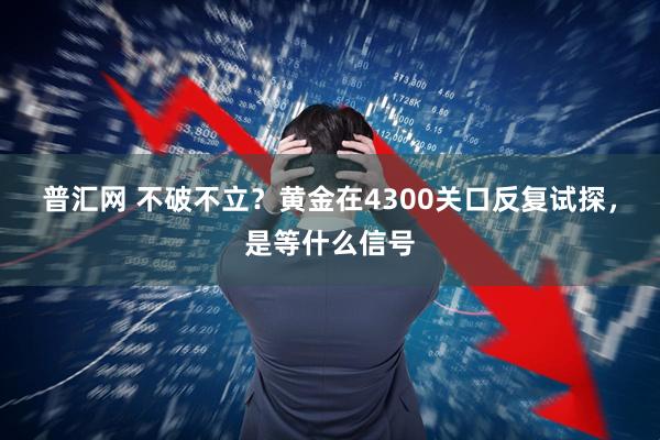 普汇网 不破不立？黄金在4300关口反复试探，是等什么信号