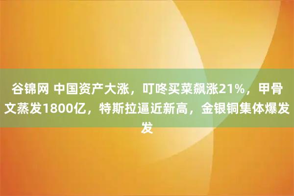 谷锦网 中国资产大涨，叮咚买菜飙涨21%，甲骨文蒸发1800亿，特斯拉逼近新高，金银铜集体爆发